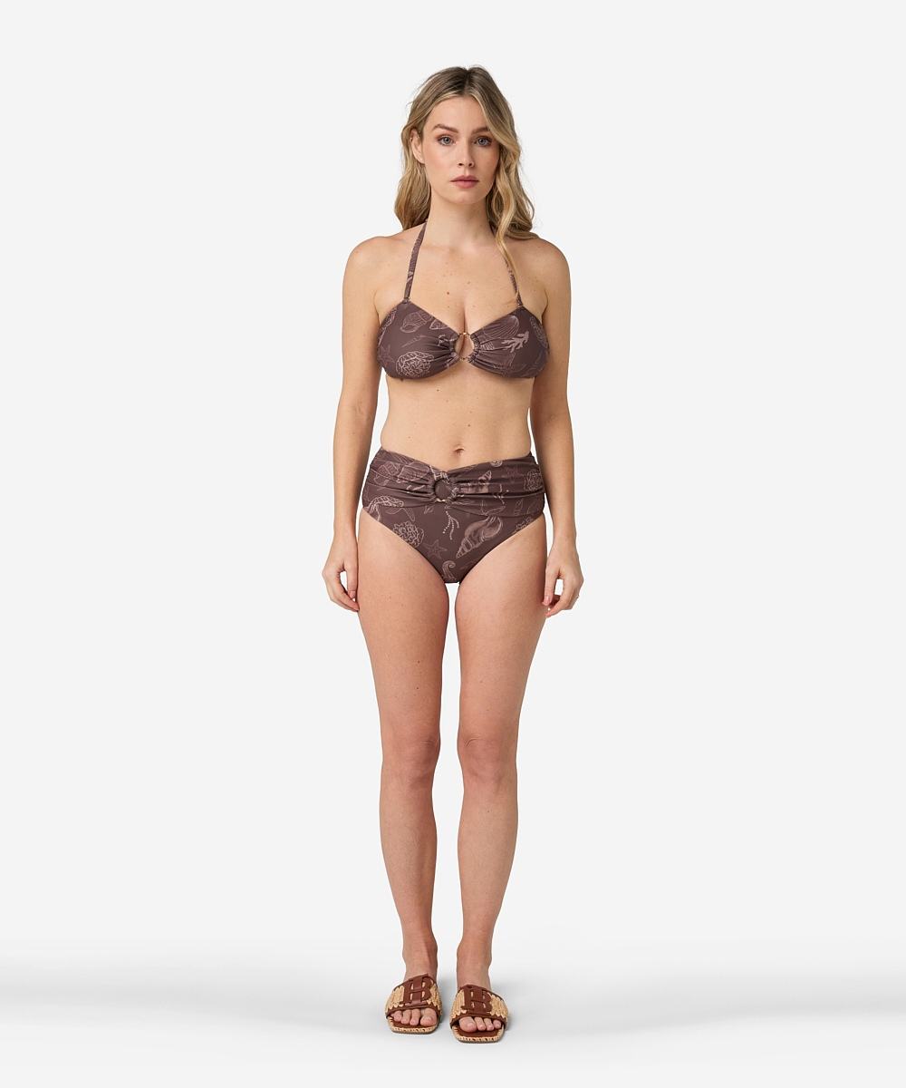 Alcye | Shell Marrón