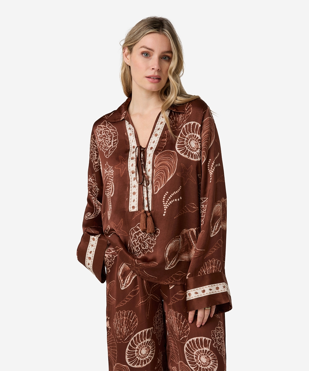 Tarya Shell | Shell Marrón