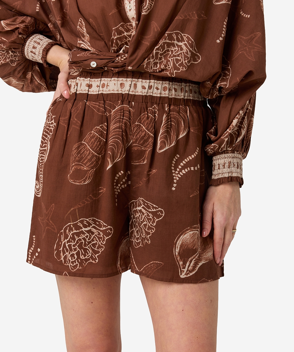 Shazira Shell | Shell Marrón