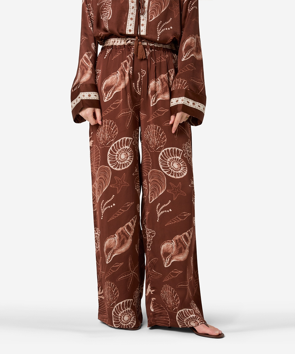 Piero Shell | Shell Marrón